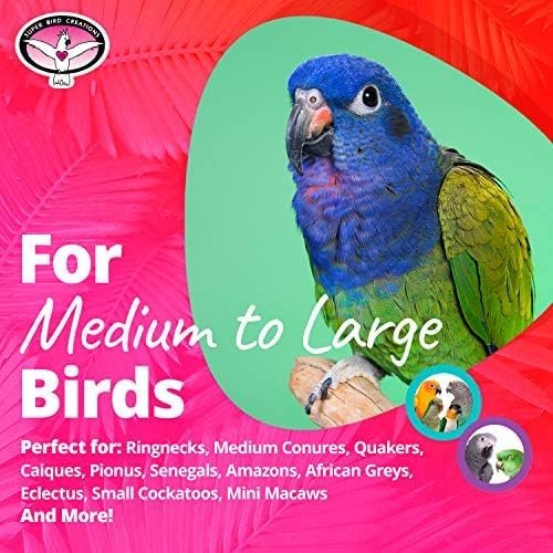 Super Bird Creations SB1058 Sneakers Bird Foot Toy - Engaging, Chewable Rubber & Fabric, Perfect for Medium & Large Birds like Parrots, Parakeets Cockatiels -Colorful & Fun - 3”x1-1/2”x1-1/4” (4 Pack)