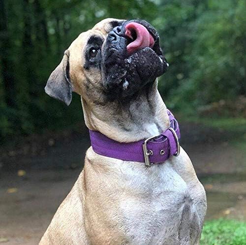 Heavy Duty Tactical Dog Collar - 1.5" Width Military Durable Thick Nylon with Adjustable Metal D Ring & Buckle Working Training K9 Collar for Medium Large Dogs (S(14"-17"), Purple)