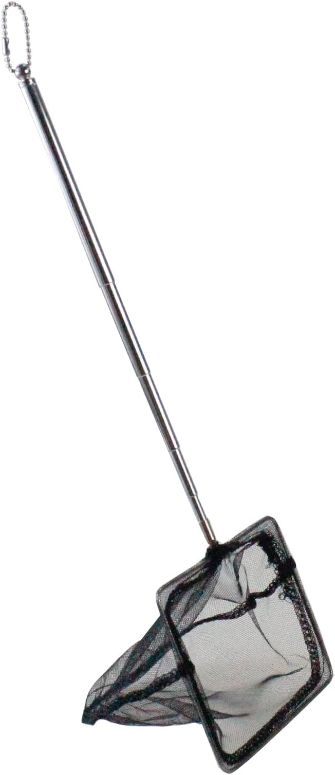AQUANEAT Aquarium Net with Extendable Long Handle, Adjustable Wastes Skimming Cleaning Tools for Fish Tanks, 5 inch
