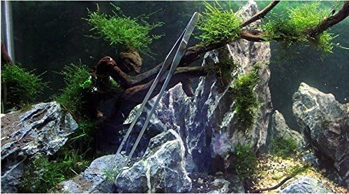 Co-link 3 in 1 Stainless Steel Aquarium Tank Aquatic Plant Tweezers Scissors Tools for Decoration of Your Aquarium Plants