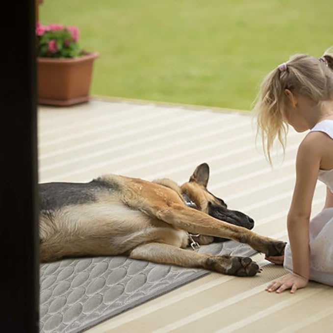 Washable Dog Cooling Mat Ice Silk Pet Self Cooling Pad Blanket for Indoor & Outdoor Car Seats (Grey, 28x22 in)