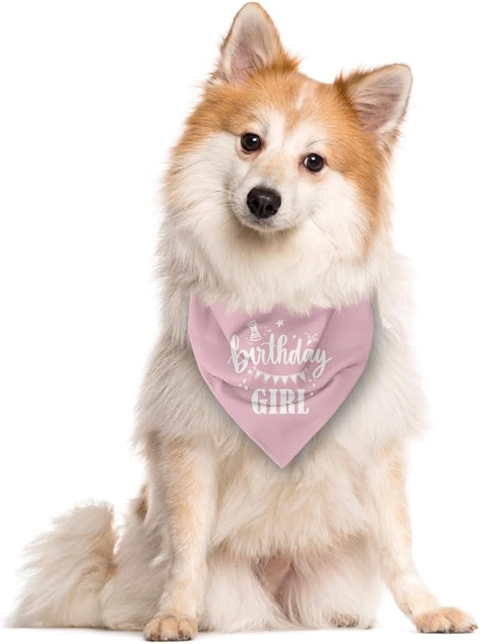 Birthday Girl Dog Bandana - Pink, Funny, Cute Triangle Scarf for Small, Medium, Large Dogs - Pet Accessories, Gift for Dog Lovers (D31)