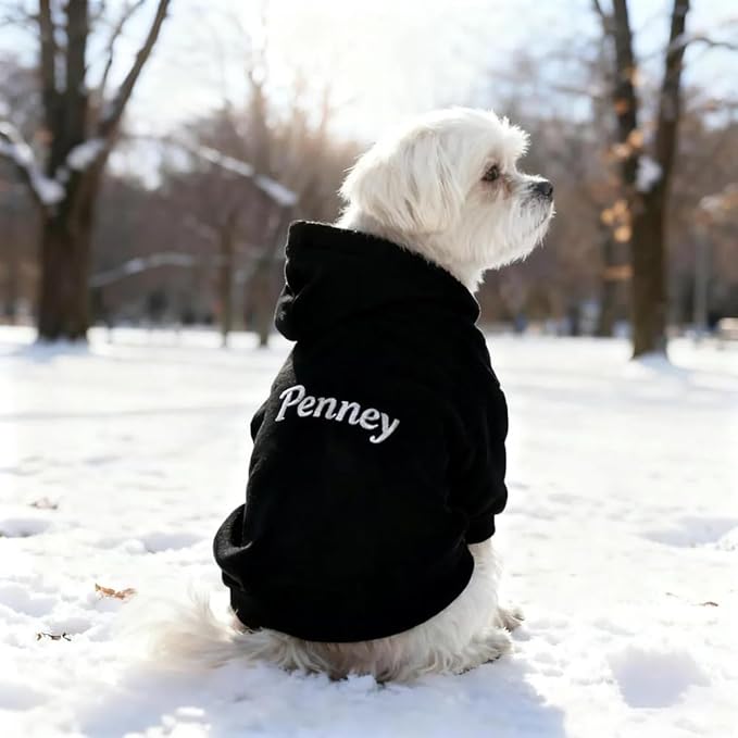 GODMERCH Custom Name Embroidered Dog Hoodie, Embroidery Dog Sweaters for Small Dogs, Pet Clothes, Pet Mom Lovers Gifts