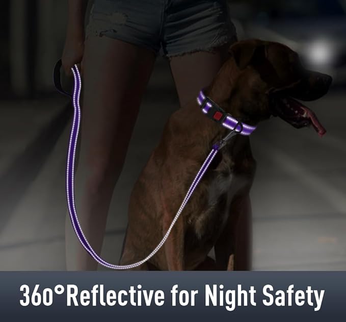 Airtag Dog Collar with AirTag Holder for Small Dogs, Reflective, Soft Padded & Safety Locking Buckle, Nylon Pet Collars Adjustable for All Breeds, Purple,S