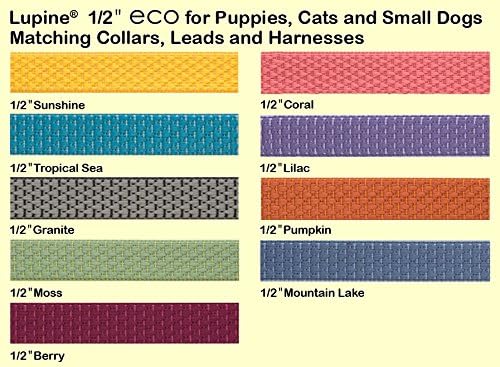 LupinePet Eco 1/2" Lilac Cat Safety Collar with Bell , 8-12"