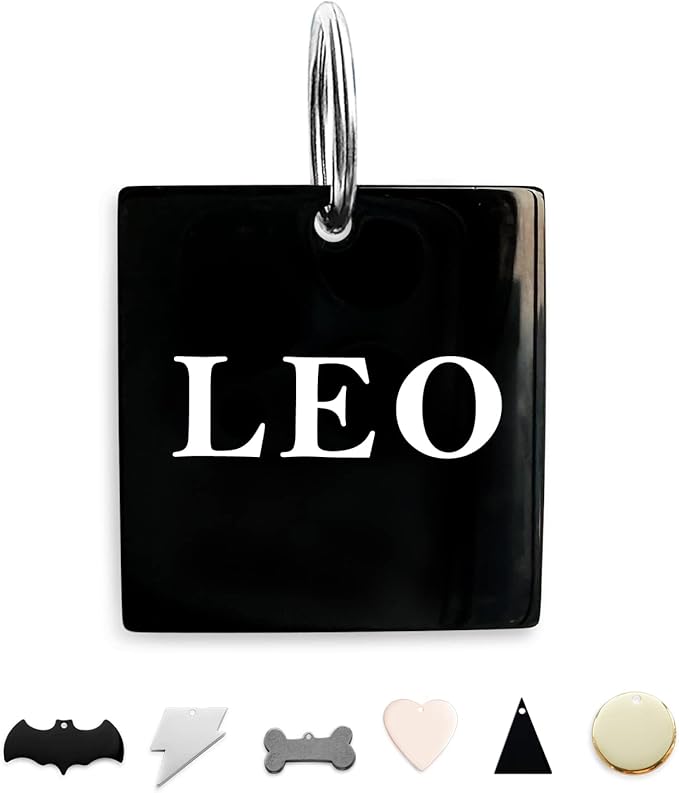 316 Surgical Grade Stainless Steel Personalized Dog & Cat ID Tags - Engraved Name or Text for Pet Collar Accessories, Original Funny Shapes (Square)