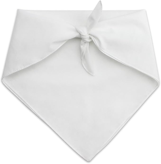 GRAPHICS & MORE Therapy Dog Please Pet Me with Hearts Dog Pet Bandana - White