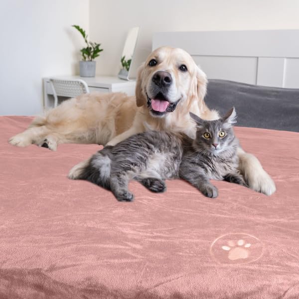 Waterproof Pet Blanket - 30x40-Inch Reversible Sherpa Fleece Throw Protects Couches, Cars, and Beds from Spills, Stains, and Fur by PETMAKER (Pink)