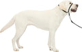 PetSafe Gentle Leader No-Pull Headcollar - Breathable Lightweight Walking Halter - Minimal Strap Design & Padded Nose Loop - Snout-Specific Fit - Helps Gain Easy Control