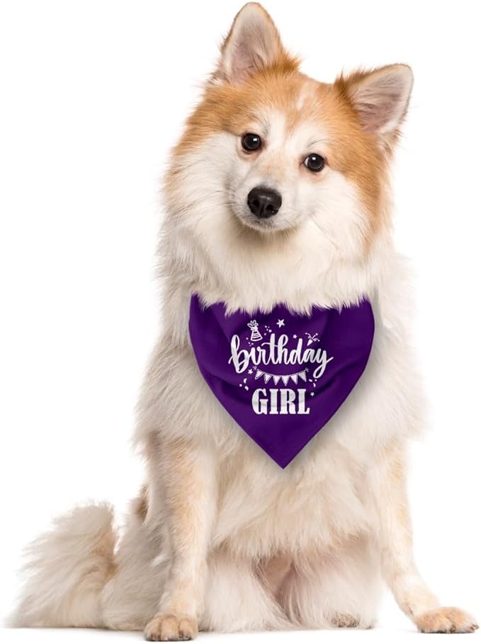 Birthday Girl Dog Bandana - Purple Triangle Scarf for Small Medium Large Dogs - Funny Cute Pet Accessory - Gift for Dog Lovers (D32)