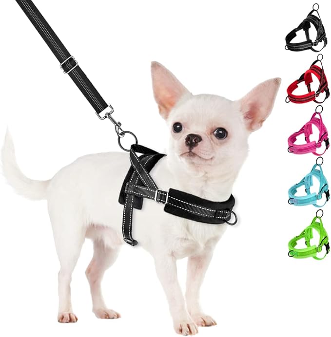 SlowTon No Pull Small Dog Harness and Leash Set, Puppy Soft Vest Harness Neck & Chest Adjustable, Reflective Lightweight Harness & Anti-Twist Pet Lead Combo for Small Medium Dogs (Black, XS)