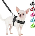 SlowTon No Pull Small Dog Harness and Leash Set, Puppy Soft Vest Harness Neck & Chest Adjustable, Reflective Lightweight Harness & Anti-Twist Pet Lead Combo for Small Medium Dogs(B,L)