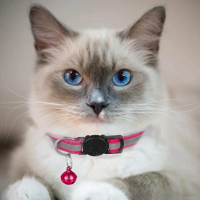 2 Pack Cat Collars Quick Release Reflective Kitten Collar with Bell & Safety Release (Dark Pink)