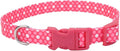 Coastal Pet Styles Adjustable Dog Collar - Stylish Patterned Fabrics - Snap-Lock Buckle - Adjustable Dog Collar - for Small, Medium or Large Dogs - Pink Dots - 3/8" x 08"-12"