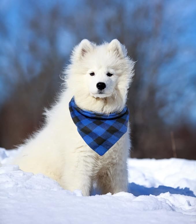Birthday Plaid Dog Bandana with Button, Dual Layer Scarf Soft Cotton Triangle Bib Girls and Boys Kerchief Adjustable Accessories for Small Medium Large Extra Large Dog Puppy Pet Cat