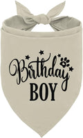A19 Birthday Dog Bandana - Apricot, Small to Large Sizes, Boy, Gift for Dog Lovers