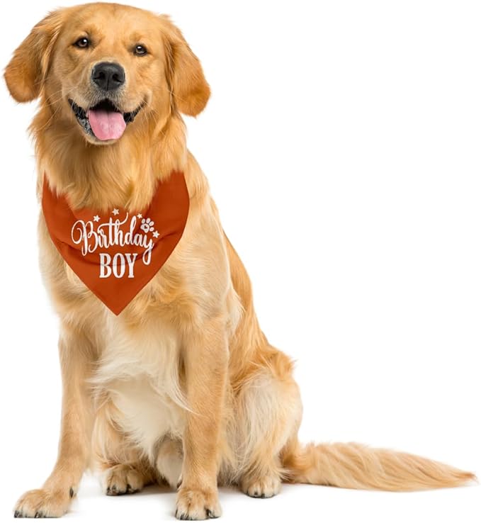 Birthday Boy Dog Bandanas - Boys' Dog Birthday Scarf for Small & Medium Dogs