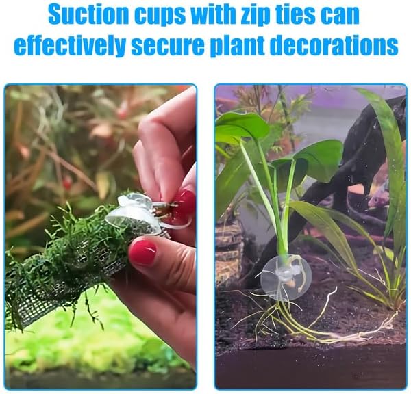 AQUANEAT 20 Pack Suction Cups with 40 Zip Ties for Aquarium Fish Tank Decoration Moss Shrimp Nest