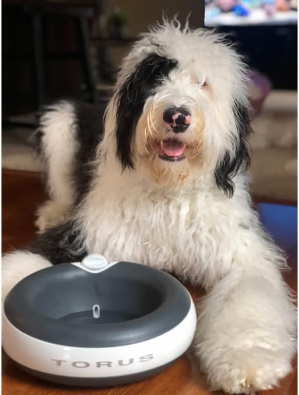 Filtered Portable Dog Water Dispenser [Upgraded 2026], 2L / 68oz, Automatic Pet Water Dispenser Noise-Free No Spill Water Bowl for Dogs, No Power Needed, Ideal for Medium & Large Pets