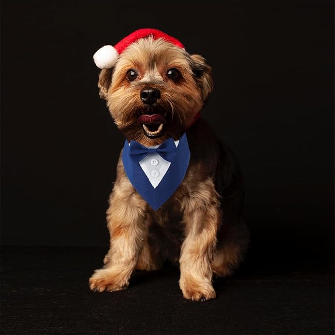 Dog Wedding Bandana, Formal Dog Tuxedo Adjustable Pet Collar with Bow, Small, Medium and Large Wedding Clothing, Birthday Gifts for Dogs (Small, Blue)