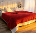 Waterproof Bed Blanket - Reversible Sherpa Throw with Leak-Resistant TPU Layer - 80x60 Stain Resistant, Machine Washable Bed Protector for Couch, Bed & Pets