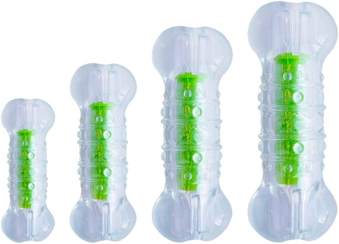 Petstages Crunchcore Bone Water Bottle Alternative Dog Chew Toy, Large