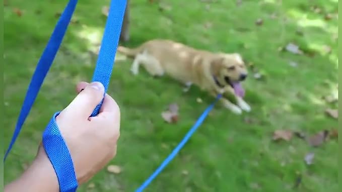 AMAGOOD Long Dog Leash for Training 15FT 20FT 30FT 50FT 100FT Long Dog Lead for Medium and Small Dogs Training,Tie Out,Play,Camping(15feet, Blue)