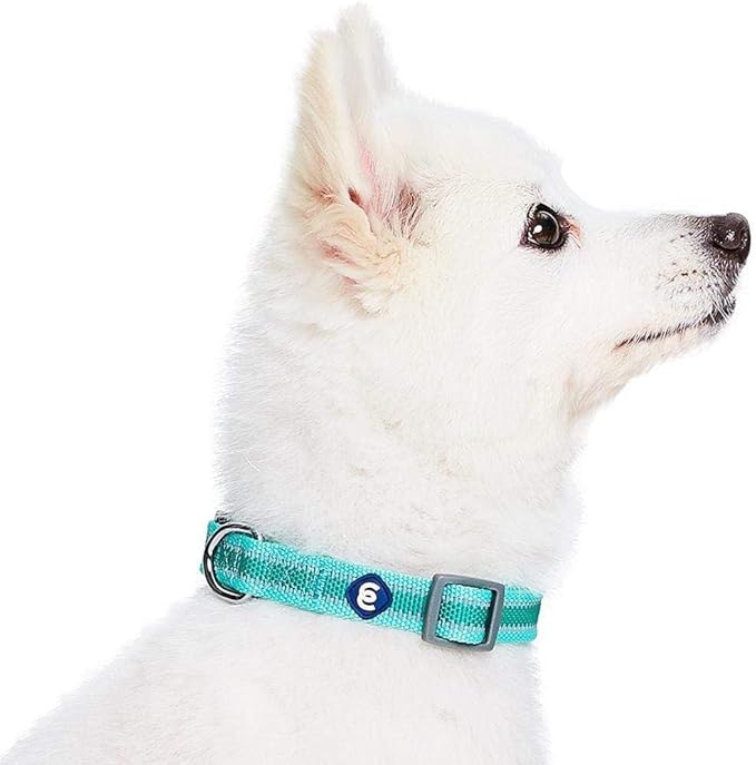 Blueberry Pet Essentials Matching Large Dog Collar | Adjustable Classic Solid Color Nylon Dog Collars for Large Dogs | Reflective Rouge Red Dog Collar for Large Dogs