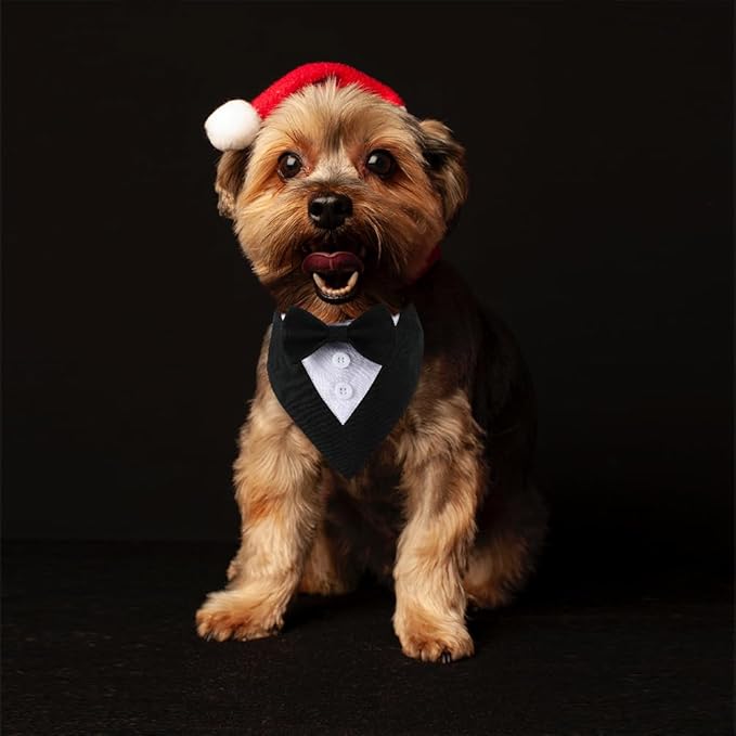 Formal Dog Tuxedo Adjustable Pet Collar with Bow, Small, Medium and Large Dog Wedding Clothing, Birthday Gifts