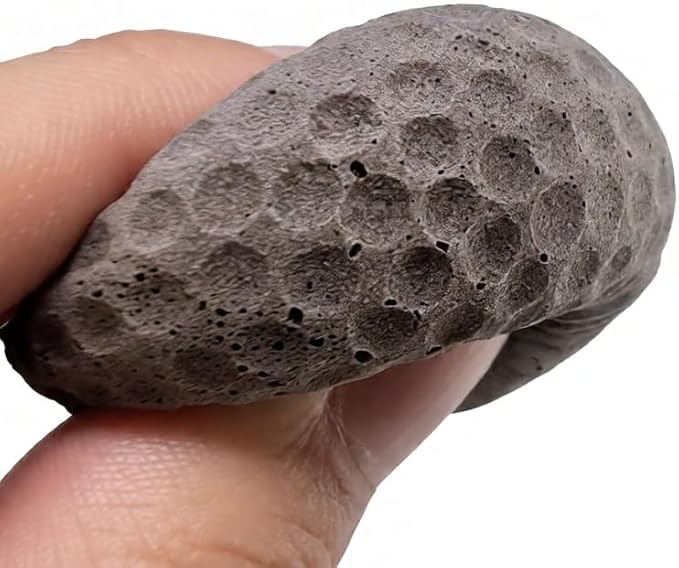 Cat Golf Balls for Indoor Kitten Toys - Interactive Sponge Foam Soccer Balls (Gray)
