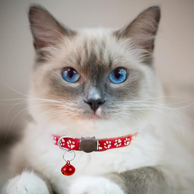 2 Pack Cat Collars Quick Release Reflective Kitten Collar with Bell & Safety Release (red)
