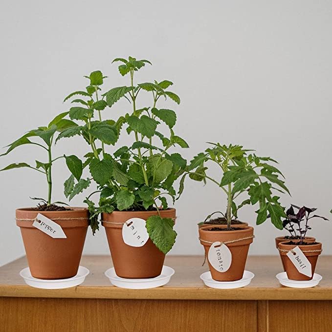 6 Pack of 7 inch Plant Saucer, Heavy Duty Plastic Plant Water Tray 7 inch Round, Flower Plant Saucers for Indoors No Holes, Plant Dishes Saucer for Planter 7"/8" (7", White)