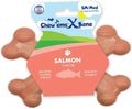 Chew’EMS X Bone Dog Chew Toy for Aggressive Chewers – Long-Lasting Salmon Flavor Nylon Bone – Durable, Rawhide-Free Dental Toy - Small Size – Made in USA