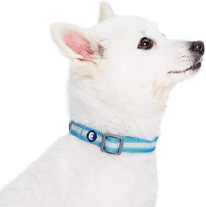 Blueberry Pet Essentials Reflective Dog Collar for Medium Dogs | Adjustable Nylon Collar in Sky Blue | Classic Solid Color Matching Medium Dog Collar