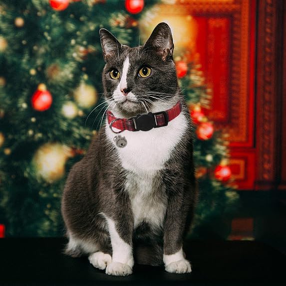Lionet Paws 2pcs Pack Cotton Cat Collar,Breakaway Buckle Christmas Cat Colar with Santa,Red Green Grid Cute Adjustable Cat Kitten Collar,Ideal for Girl Cats Boy Cats