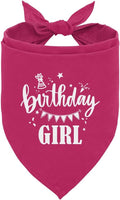 Birthday Girl Dog Bandana, Deep Pink Dog Bandana, Funny Cute Dog Bandana, Pet Dog Triangle Scarf, Pet Dog Scarf Accessories, Girl Dog Bandana, Dog Bandana for Small Medium Large Dogs (E53)
