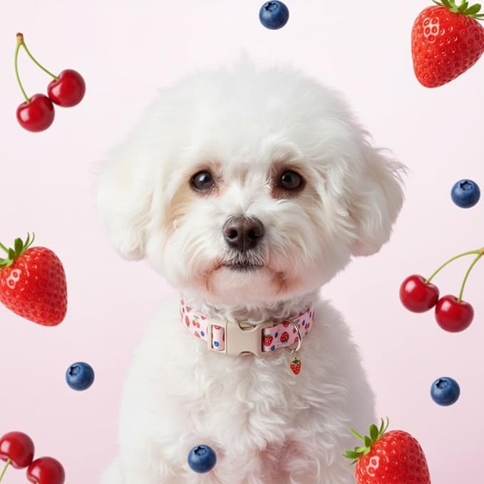 Girl Dog Collar, Cute Dog Collar for Medium Dogs with Cute Strawberry, Cherry and Blueberry Print, Pink Collar for Dogs with Quick-Release Buckle and Robust D Ring, M