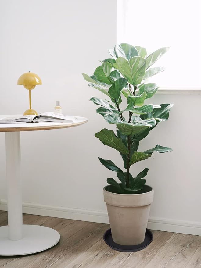 2 Pack of 16 17 inch Plant Saucer (15 inch Base), 2.3" Depth, Plant Trays for Pots, Plastic Plant Saucers for Indoors, Bird Bath Bowls, Flower Pot Drip Trays for Planter (17", Black)