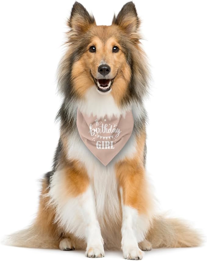 Birthday Girl Dog Bandana - Apricot Pink, Funny Cute Triangle Scarf, Pet Accessories for Small Medium Large Dogs, Gift for Dog Lover (D33)