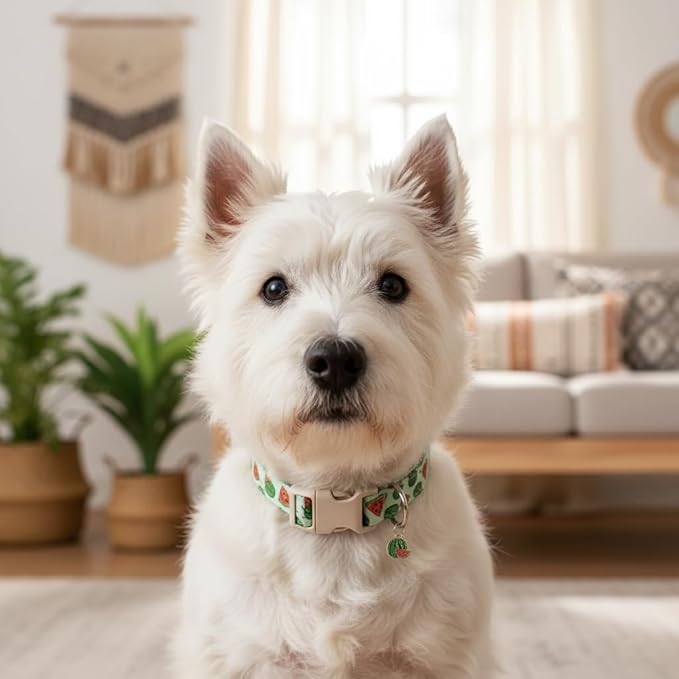 Dog Collar for Small Dogs, Summer Dog Collar with Watermelon Print and Charm, Adjustable Pet Collar for Girl Boy Dogs