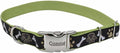 Coastal Pet - Ribbon - Adjustable Dog Collar with Metal Buckle, Brown Paws and Bones, 1" x 18"-26"