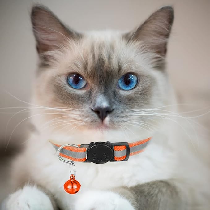 2 Pack Cat Collars Quick Release Reflective Kitten Collar with Bell & Safety Release (Orange)