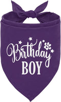 Birthday Boy Dog Bandanas, Dog Birthday Bandana, Birthday Bandana for Small Medium Dog, Pet Accessories for Dog, Happy Birthday Dog Bandana for Boys, Pet Scarf (B16)