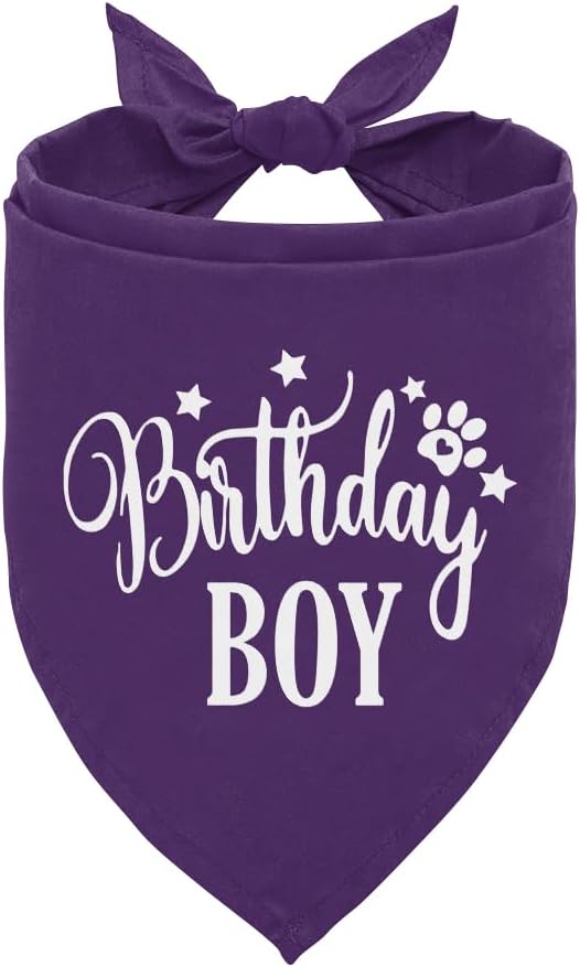Birthday Boy Dog Bandanas, Dog Birthday Bandana, Birthday Bandana for Small Medium Dog, Pet Accessories for Dog, Happy Birthday Dog Bandana for Boys, Pet Scarf (B16)