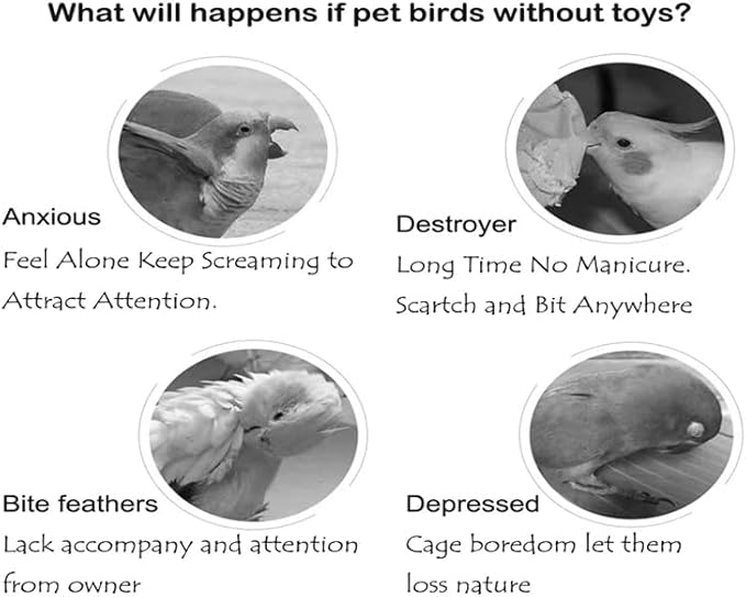 Bird Xylophone with Mirror & Bell Accessories - Musical Training Toy for Conure, Budgie, Cockatiel, Cockatoo, Parakeet, Finch (Bird Xylophone with Mirror)