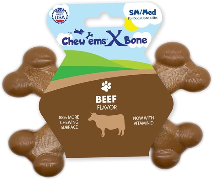 Chew’EMS X Bone Dog Chew Toy for Aggressive Chewers – Long-Lasting Beef Flavor Nylon Bone – Durable, Rawhide-Free Dental Toy - Small Size – Made in USA