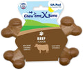 Chew’EMS X Bone Dog Chew Toy for Aggressive Chewers – Long-Lasting Beef Flavor Nylon Bone – Durable, Rawhide-Free Dental Toy - Small Size – Made in USA