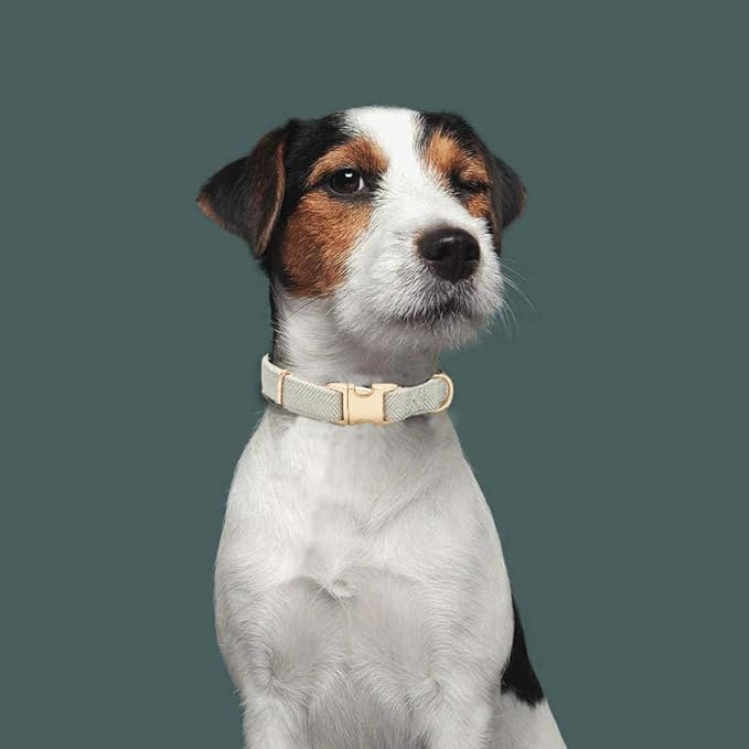 Soft Cotton Hemp Dog Collar with Metal Buckle Adjustable Twilled Dog Collars for Small Medium Large Dogs(Grey,Small)