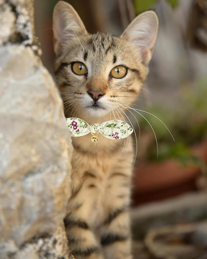 2 Pack Cotton Cat Collar, Removable Bowtie, Floral Pattern, Safety Breakaway Clasp, Adjustable for Cats.(Adult Cat, Check+Green)