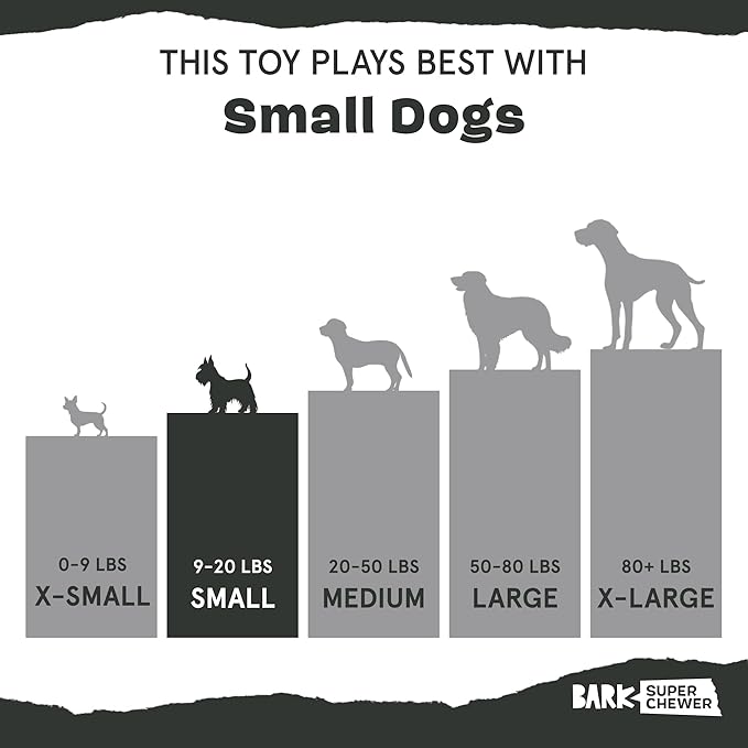 Barkbox Super Chewer Tough Dog Chew Toys for Aggressive Chewers, Dental Stimulating (Chopper - Small)